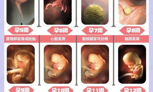 权威汗出身冷中医辨证平台,分享专业出凉汗中医辩证知识_爱出汗身上凉中医怎么辨证网