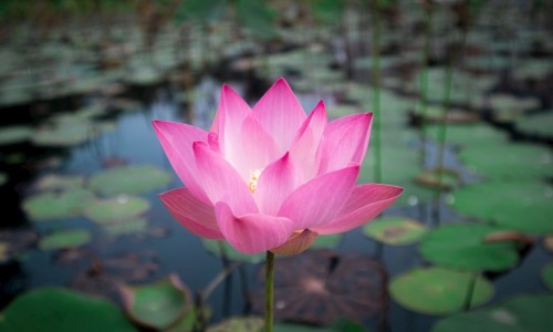 权威汗出身冷中医辨证平台,分享专业出凉汗中医辩证知识_爱出汗身上凉中医怎么辨证网