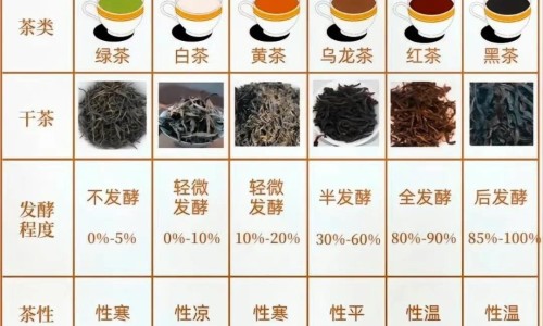 权威汗出身冷中医辨证平台,分享专业出凉汗中医辩证知识_爱出汗身上凉中医怎么辨证网